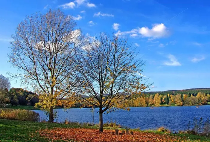 Bild: Fotocommunity stellte jetzt im Internet das 1000. Foto von Marketingfachmann Rainer Prüm aus Merzig online