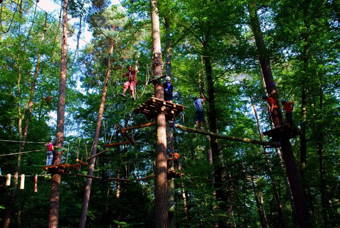 Für Spaß und Spannung in den Seilen sorgt ab Juni 2011 der neue Waldklettergarten in Zuffenhausen  (Foto: R. Keil)