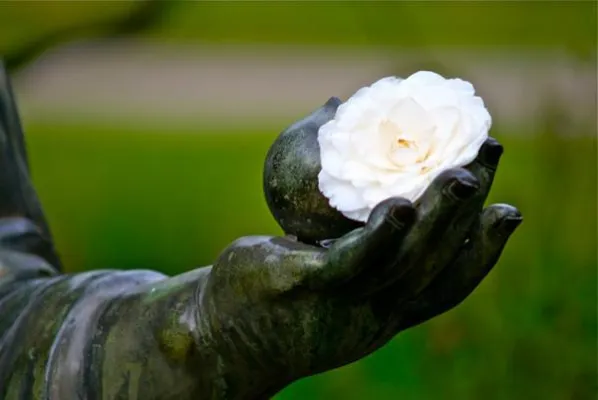 Leben ist Wachsein Bild: Leben ist Wachsein