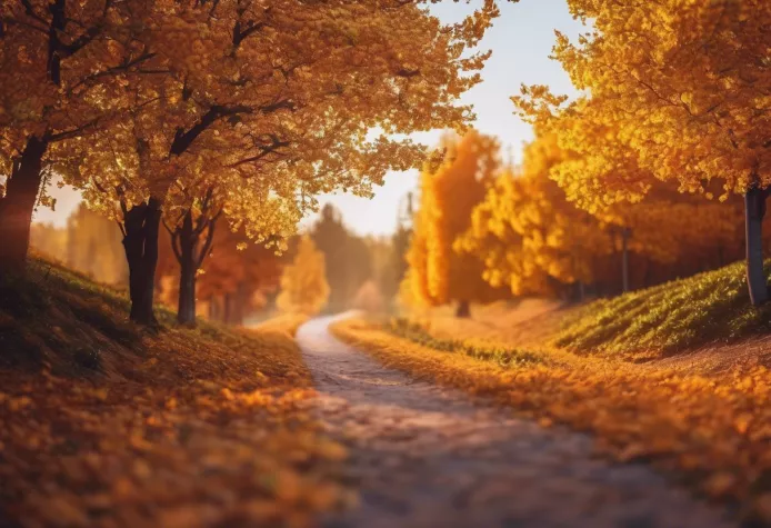 Vom Chaos zur Systemintelligenz. Die Kunst, Ordnung in Unsicherheit zu schaffen. Bild: Vom Chaos zur Systemintelligenz. Die Kunst, Ordnung in Unsicherheit zu schaffen.