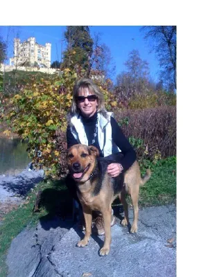 Bild: Die Verantwortung des Hundehalters