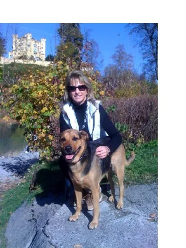 Die Verantwortung des Hundehalters Bild: Die Verantwortung des Hundehalters