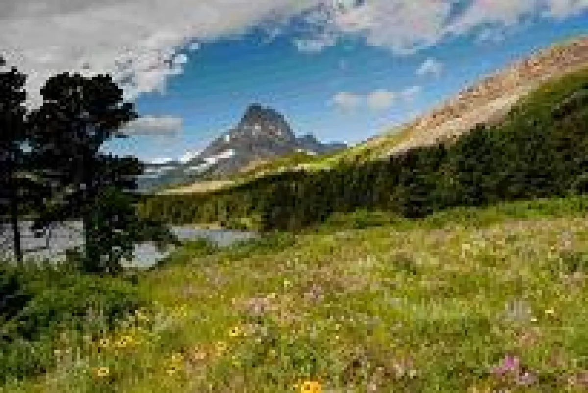 Glacier National Park (c) Montana Office of Tourism