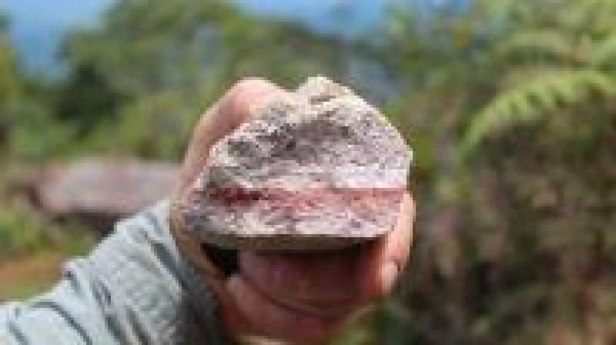 Quelle: Hannan Metals