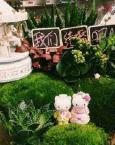Bild: Trend zum Miniaturgarten in chinesischen Haushalten