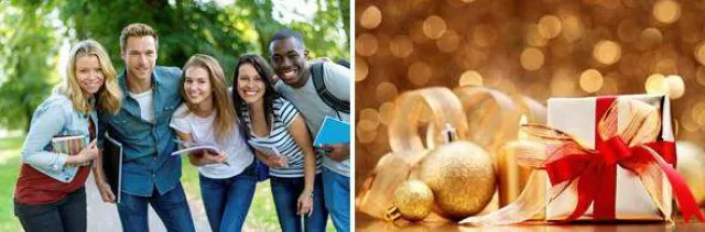 Bild: Eine lehrreiche Bescherung mit Linguista