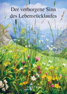Bild: "Der verborgene Sinn des Lebensrücklaufes" - Was geschieht wirklich nach dem Tod?