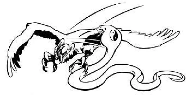 Bild: Was ist Tai Chi? Wozu Schattenboxen üben? ... Newsletter Innere Kampfkünste Dezember 2013