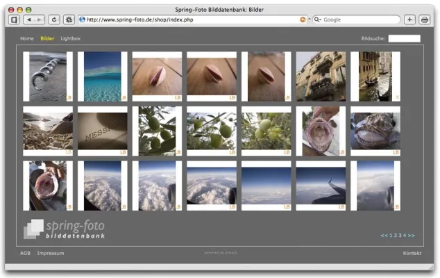 Bild: Fotos zu Geld machen - Neue Internetsoftware ermöglicht Fotografen bequeme Bildvermarktung in Eigenregie