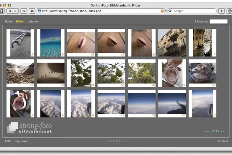 Bild: Fotos zu Geld machen - Neue Internetsoftware ermöglicht Fotografen bequeme Bildvermarktung in Eigenregie