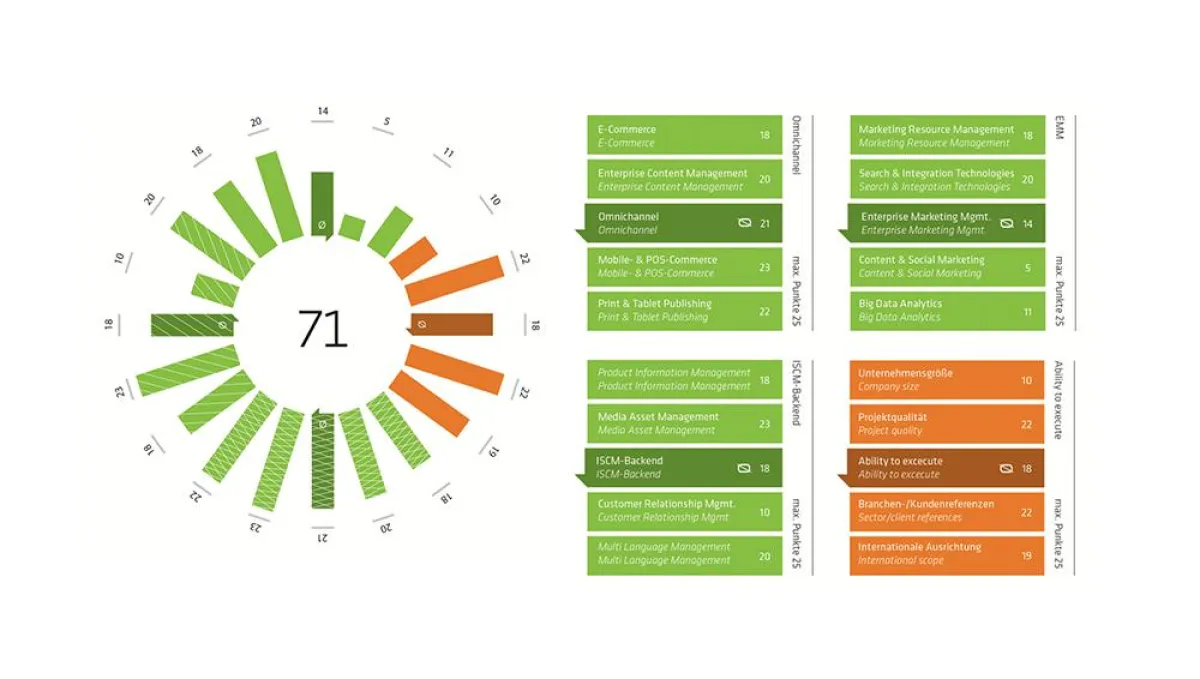 Das Market Performance Wheel zeigt die Stärken und Potenziale der MSP AG.
