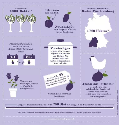Bild: Infografik – Die Pflaumen- und Zwetschgensaison ist im vollen Gange