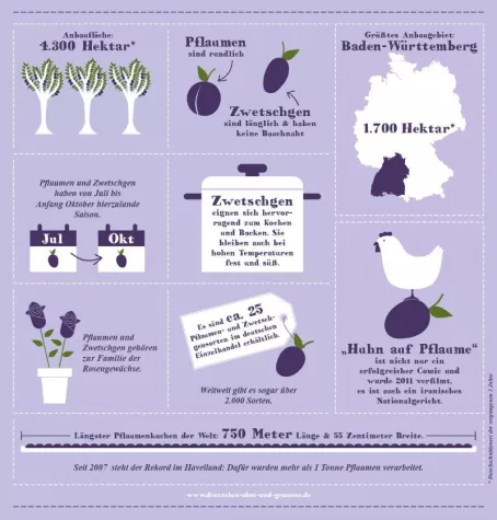 Bild: Infografik – Die Pflaumen- und Zwetschgensaison ist im vollen Gange