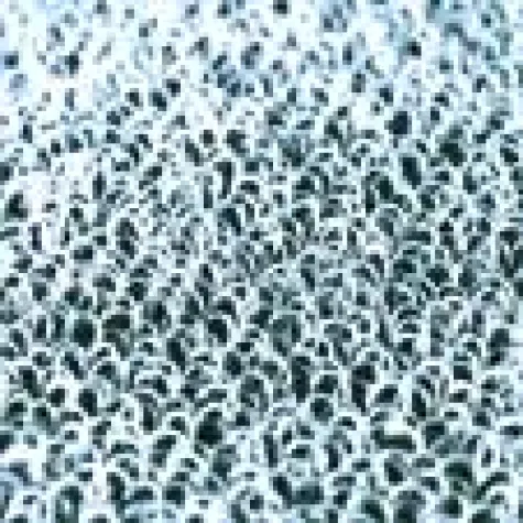 Bild: Thema Running: Silberschlaufen gegen Schweißgeruch, X-Socks “Sky Run”