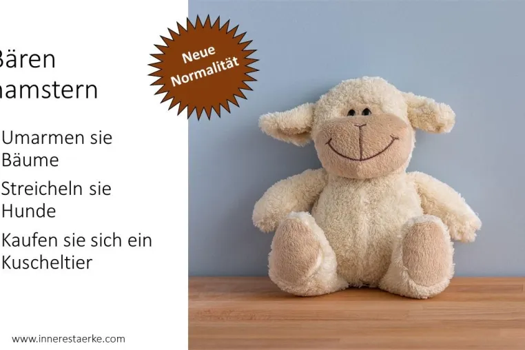 Bären hamstern Bild: Bären hamstern