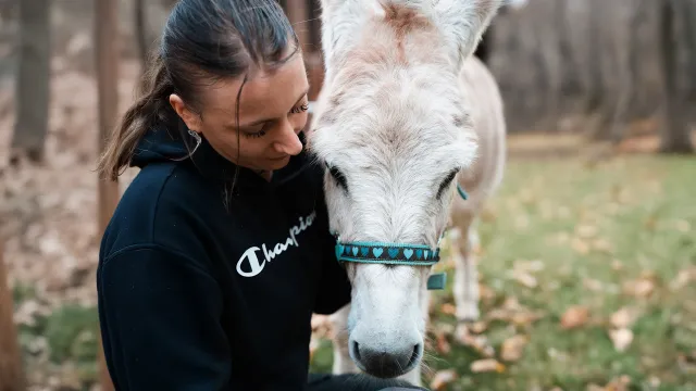 Bild: Pferdehufe im Industrieviertel: Hufbearbeiterin bricht alte Muster auf