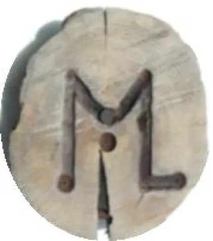 Bild: Upcycling Lichtobjekte als Ambiente Highlight