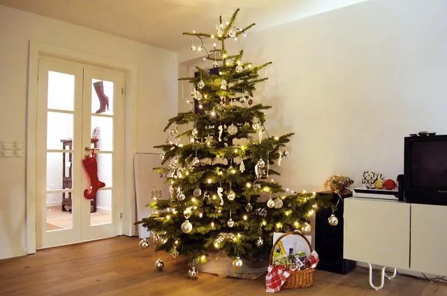 Bild: Alle Jahre wieder: Pflegetipps für Weihnachtsbäume