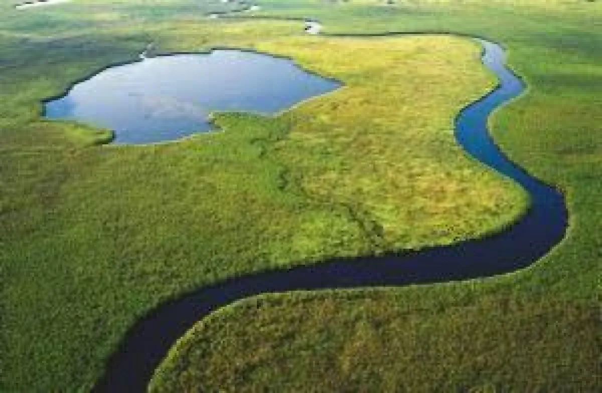 BU: Okavango-Delta, Foto: Wikinger Reisen. Abdruck honorarfrei, bitte nur mit Quellenangabe. Foto senden wir gern in hoher Auflösung zu. Bitte per Mail bei der Pressestelle anfordern.