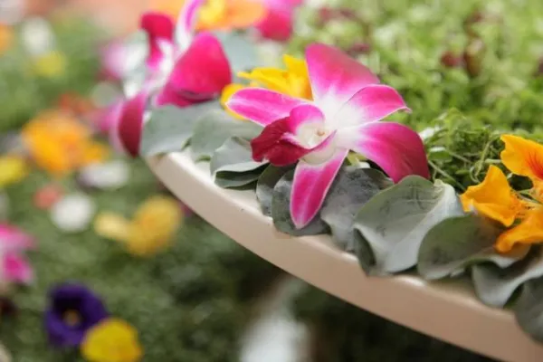 Bild: Spring in the box: So schmeckt der Frühling - mit KIRBERG CATERING