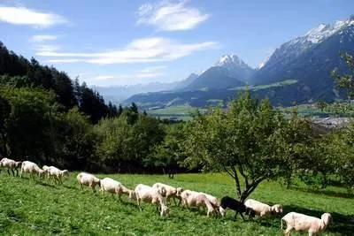 Bild: Der Bär ist los - Drehort im Karwendel rund um Schwaz