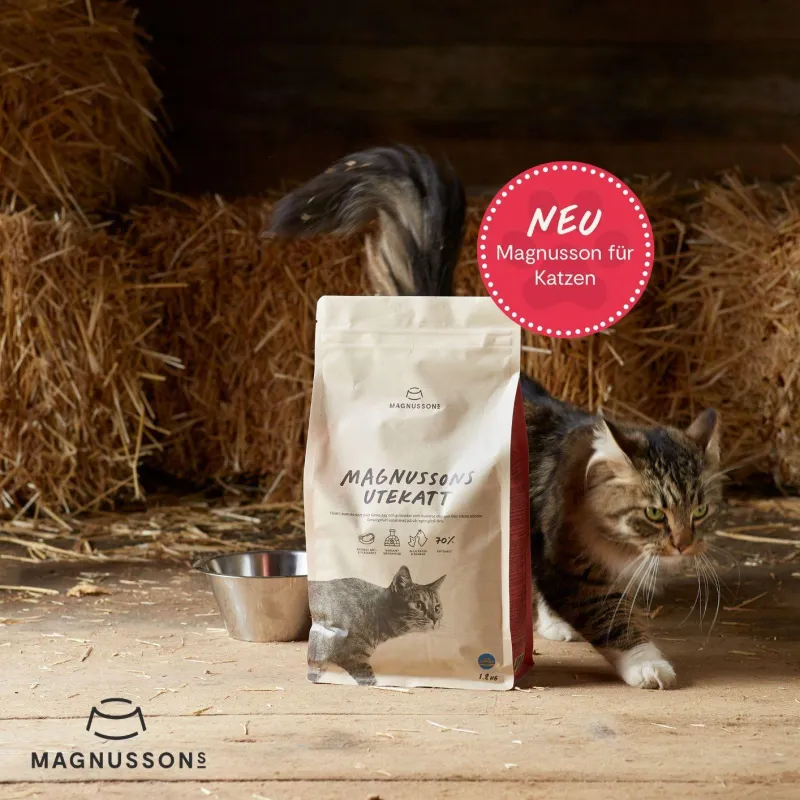 Neu: MAGNUSSONS KATZENFUTTER