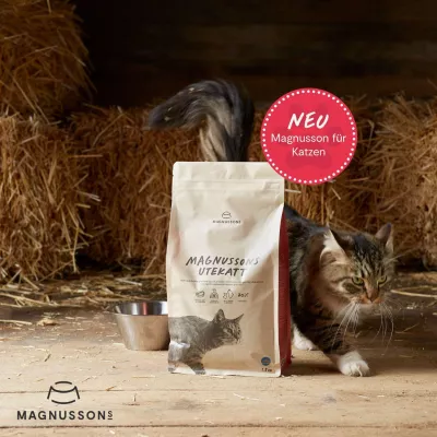 Bild: Neu: Ofengebackenes Katzenfutter bei Magnusson Petfood