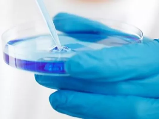 Bild: Expertenreaktionen auf kalifornische Studie: Geringeres Risiko der E-Zigarette erneut bestätigt