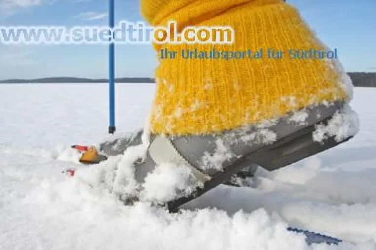 Bild: Skiurlaub per Mausklick