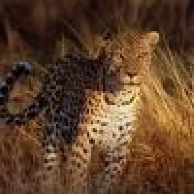 Bild: Namibia Reisen - Naturerlebnis für die Sinne