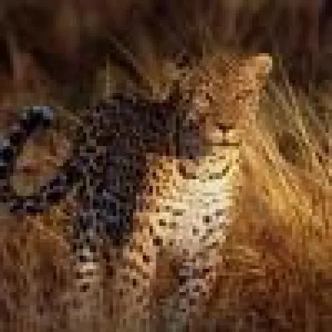 Bild: Namibia Reisen - Naturerlebnis für die Sinne