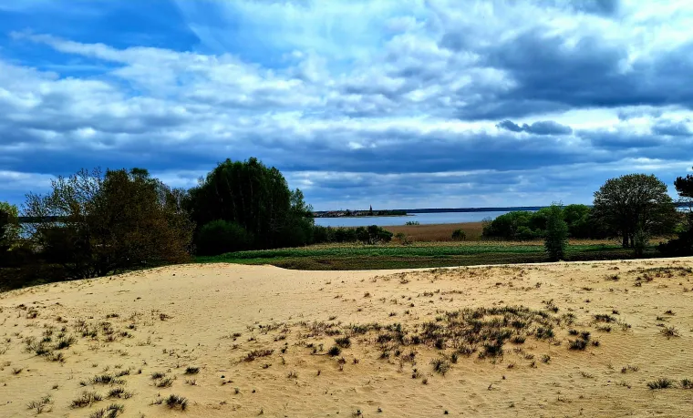 Bild: Fühlen, riechen, erleben, glücklich sein - Natur pur am Stettiner Haff