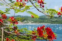 Bild: Magnifique Martinique!