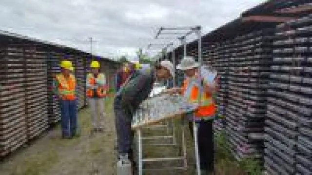 Bild: Maple Gold Mines vergrößert neue Zone mit hohen Gehalten und U.S. Gold Corp. konkretisiert Explorations