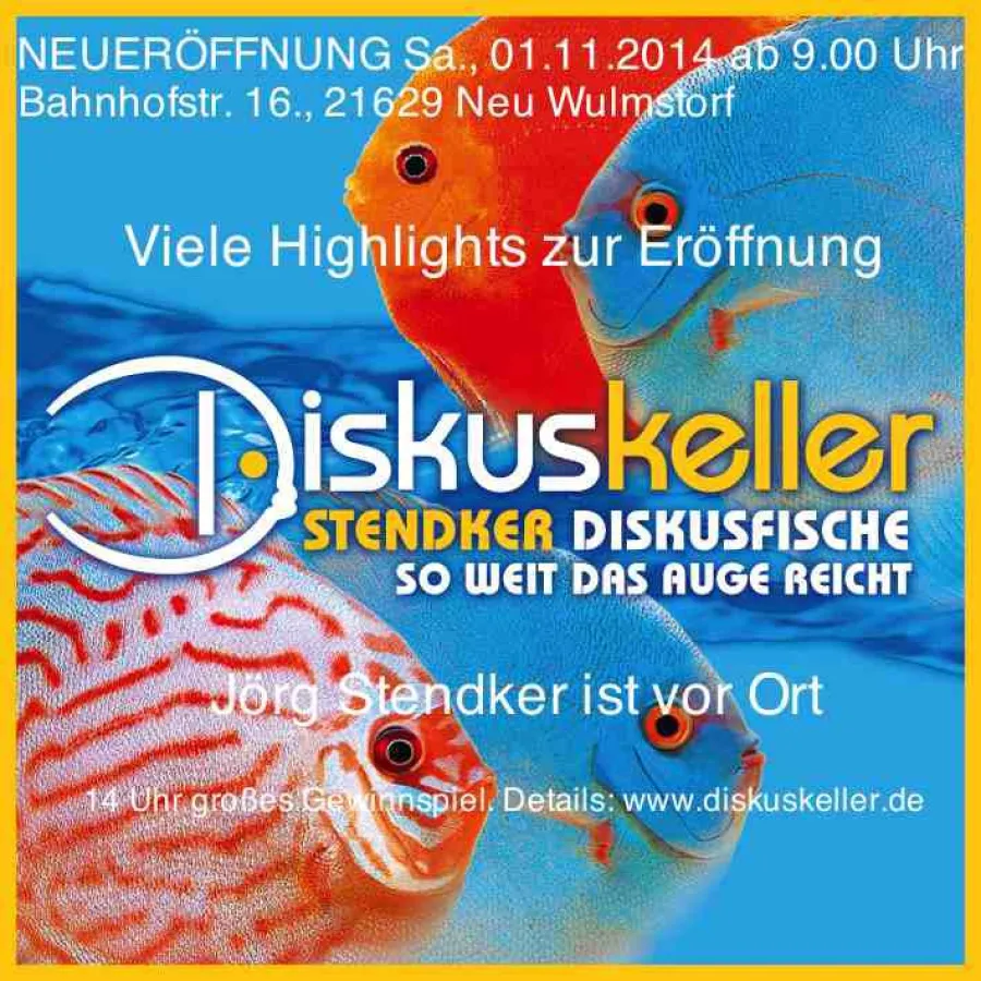 Neueröffnung des Diskuskellers