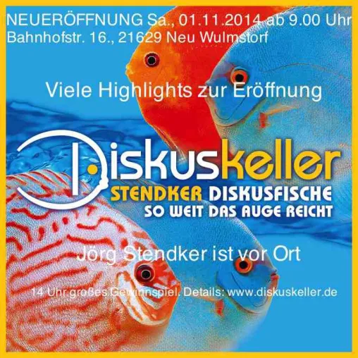 Stendker Diskusfische: Neuer Stützpunkthändler im Hamburger Großraum Bild: Stendker Diskusfische: Neuer Stützpunkthändler im Hamburger Großraum