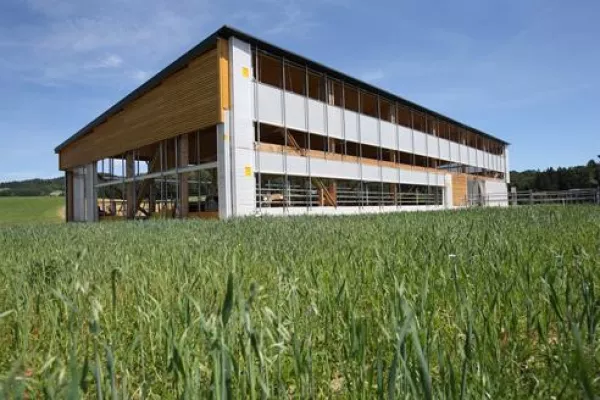 Bild: „5-Sterne-Q-Hotel“ in Bad Zell: Feinster Komfort für glückliche Kühe