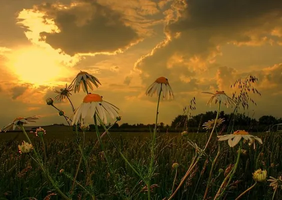 Klimawandel und Erdöl sind unmittelbar miteinander verbunden... Bild: Klimawandel und Erdöl sind unmittelbar miteinander verbunden...