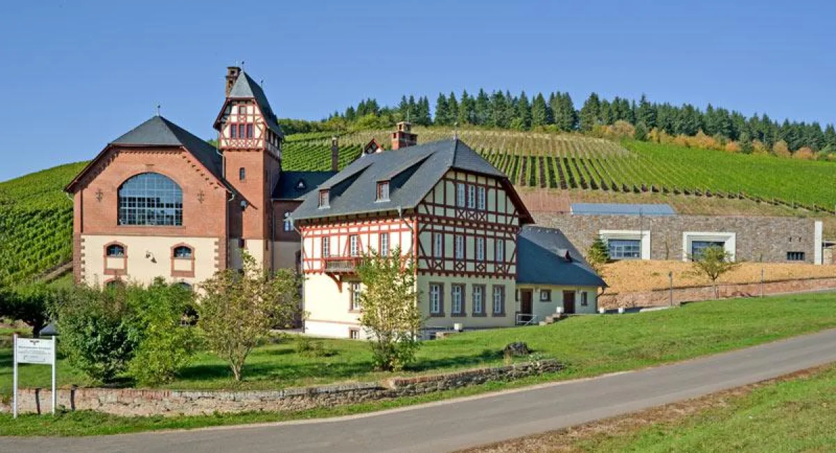 Staatliche Weinbaudomäne