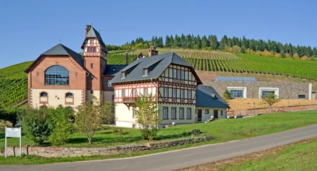 Bild: Kunst und Kultur in Trierer Weinbergen