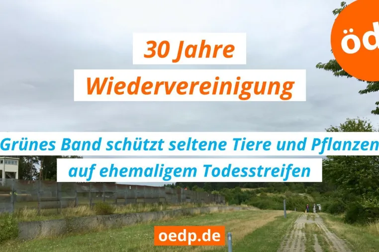 Bild: Neues Leben im Todesstreifen ÖDP freut sich über 30 Jahre Wiedervereinigung