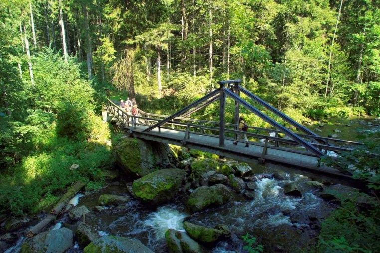 Bild: Naturpark Frankenwald: Der stille und noch unentdeckte Wanderwald und Märchenwald im hohen Norden Bayerns