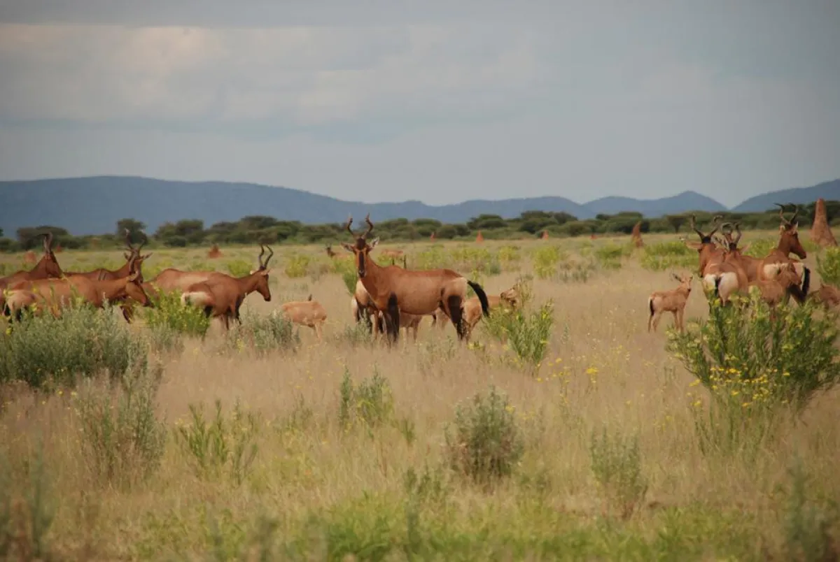 Bildquelle: Birgit Felgentreu