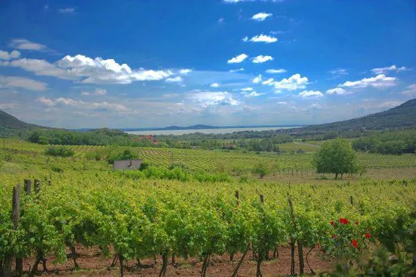Bild: Der Balaton (Plattensee) in Ungarn ist nicht nur zum Schwimmen geeignet
