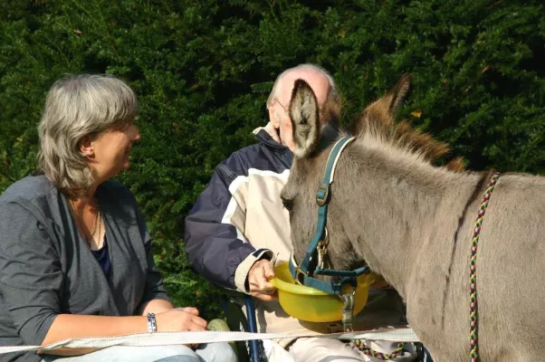 Bild: Esel Pedro hilft Demenzkranken im Kölner St. Josefsheim