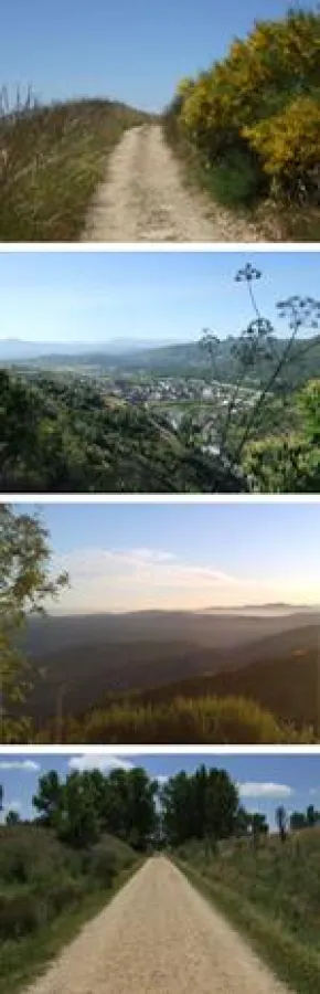 Jakobsweg soll Manager auf den Weg bringen