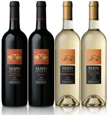 Bild: NGV präsentiert Mapu Reserva Sauvignon Blanc - Ein frischer Sommerstart – exklusiv für die Gastronomie