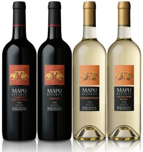Bild: NGV präsentiert Mapu Reserva Sauvignon Blanc - Ein frischer Sommerstart – exklusiv für die Gastronomie
