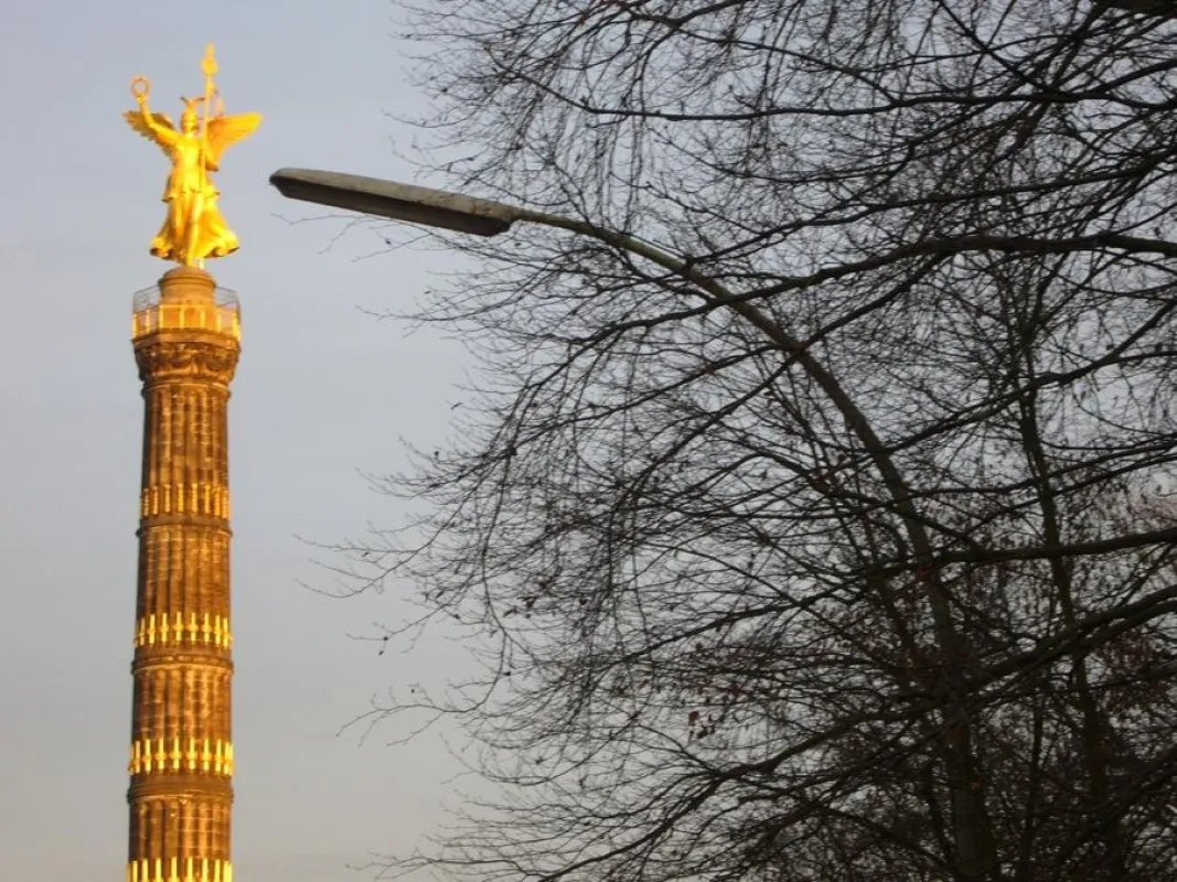 Goldelse