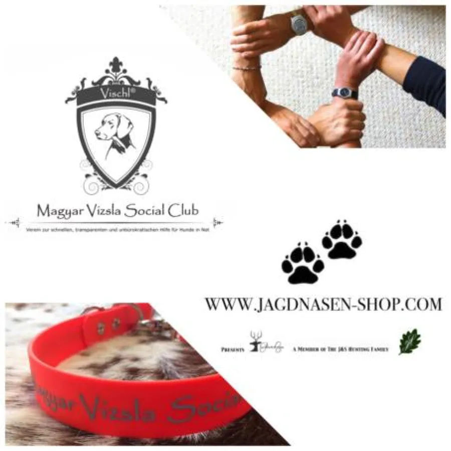 Künftig gemeinsam für Hunde in Not auf der Pirsch